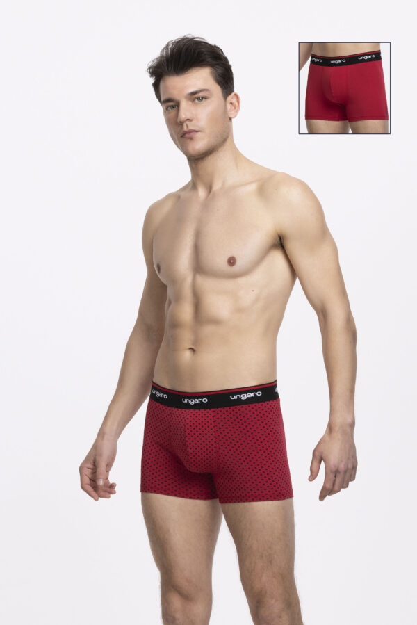 PACK 2 - BOXER GEOMETRIC BORDEAUX/ PRINT